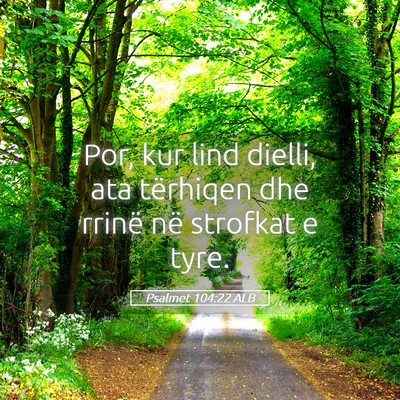 Picture 05 - Psalmet 104:22 ALB - Por, kur lind dielli, ata tërhiqen dhe rrinë - Bible Verse Picture
