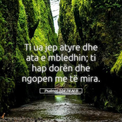 Picture 05 - Psalmet 104:28 ALB - Ti ua jep atyre dhe ata e mbledhin; ti hap dorën - Bible Verse Picture