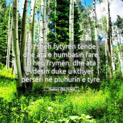 Picture 05 - Psalmet 104:29 ALB - Ti fsheh fytyrën tënde dhe ata e humbasin fare; - Bible Verse Picture