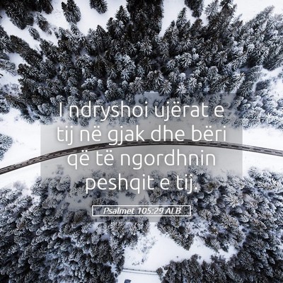 Picture 05 - Psalmet 105:29 ALB - I ndryshoi ujërat e tij në gjak dhe bëri që - Bible Verse Picture