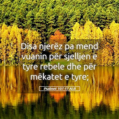 Picture 05 - Psalmet 107:17 ALB - Disa njerëz pa mend vuanin për sjelljen e tyre - Bible Verse Picture