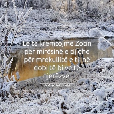 Picture 05 - Psalmet 107:21 ALB - Le ta kremtojmë Zotin për mirësinë e tij dhe - Bible Verse Picture