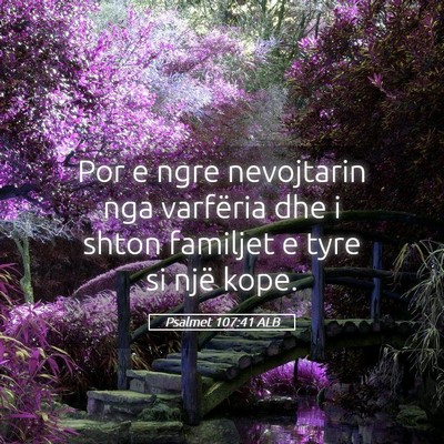 Picture 05 - Psalmet 107:41 ALB - Por e ngre nevojtarin nga varfëria dhe i shton - Bible Verse Picture