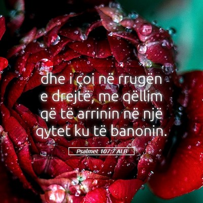 Picture 05 - Psalmet 107:7 ALB - dhe i çoi në rrugën e drejtë, me qëllim që - Bible Verse Picture