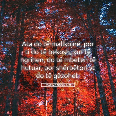 Picture 05 - Psalmet 109:28 ALB - Ata do të mallkojnë, por ti do të bekosh; kur - Bible Verse Picture