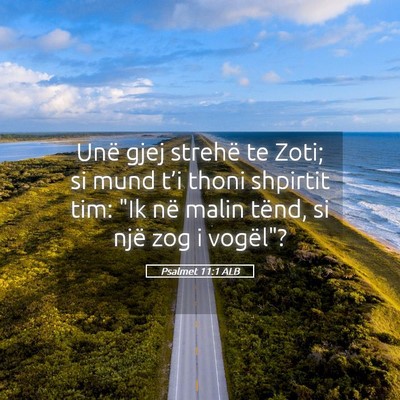 Picture 05 - Psalmet 11:1 ALB - Unë gjej strehë te Zoti; si mund t’i thoni - Bible Verse Picture