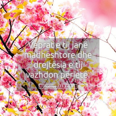Picture 05 - Psalmet 111:3 ALB - Veprat e tij janë madhështore dhe drejtësia e - Bible Verse Picture