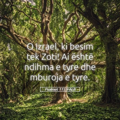 Picture 05 - Psalmet 115:9 ALB - O Izrael, ki besim tek Zoti! Ai është ndihma e - Bible Verse Picture