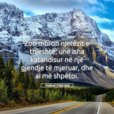 Picture 05 - Psalmet 116:6 ALB - Zoti mbron njerëzit e thjeshtë; unë isha - Bible Verse Picture