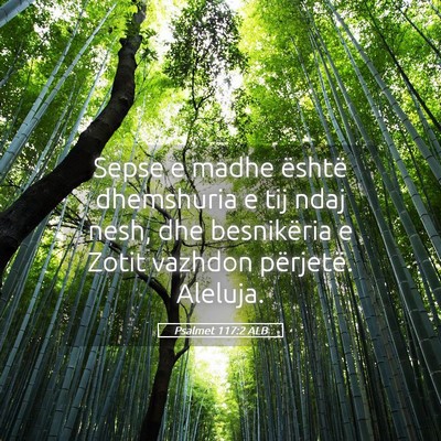 Picture 05 - Psalmet 117:2 ALB - Sepse e madhe është dhemshuria e tij ndaj nesh, - Bible Verse Picture