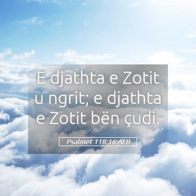 Picture 05 - Psalmet 118:16 ALB - E djathta e Zotit u ngrit; e djathta e Zotit bën - Bible Verse Picture