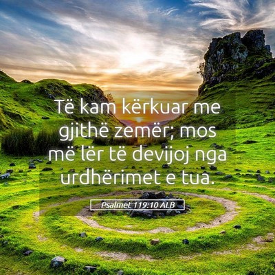 Picture 05 - Psalmet 119:10 ALB - Të kam kërkuar me gjithë zemër; mos më lër - Bible Verse Picture