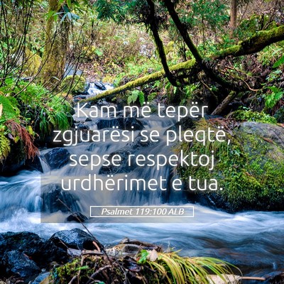 Picture 05 - Psalmet 119:100 ALB - Kam më tepër zgjuarësi se pleqtë, sepse - Bible Verse Picture