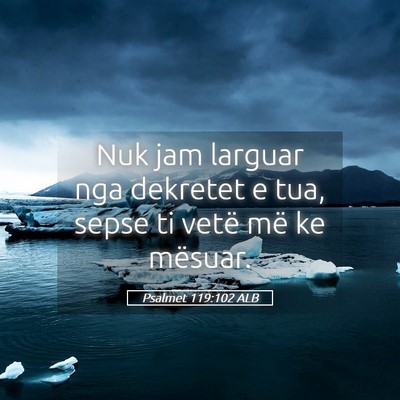 Picture 05 - Psalmet 119:102 ALB - Nuk jam larguar nga dekretet e tua, sepse ti - Bible Verse Picture