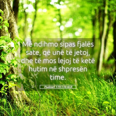Picture 05 - Psalmet 119:116 ALB - Më ndihmo sipas fjalës sate, që unë të - Bible Verse Picture