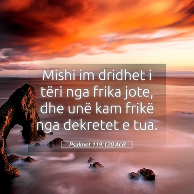 Picture 05 - Psalmet 119:120 ALB - Mishi im dridhet i tëri nga frika jote, dhe unë - Bible Verse Picture