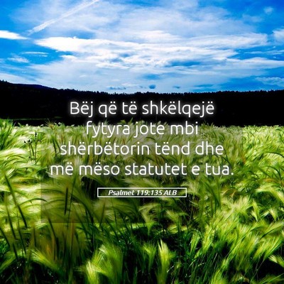 Picture 05 - Psalmet 119:135 ALB - Bëj që të shkëlqejë fytyra jote mbi - Bible Verse Picture