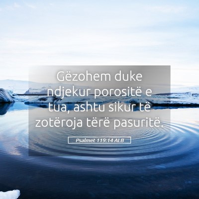Picture 05 - Psalmet 119:14 ALB - Gëzohem duke ndjekur porositë e tua, ashtu - Bible Verse Picture