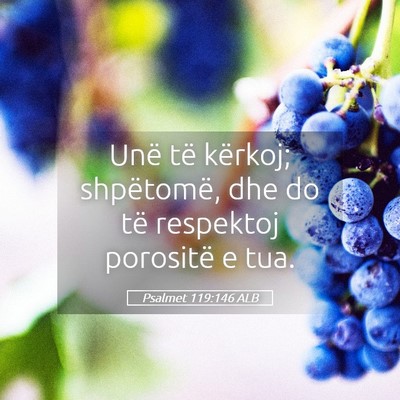 Picture 05 - Psalmet 119:146 ALB - Unë të kërkoj; shpëtomë, dhe do të - Bible Verse Picture
