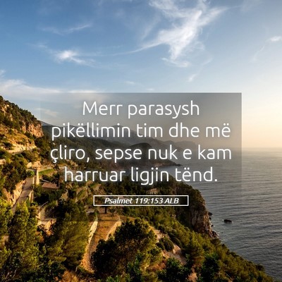 Picture 05 - Psalmet 119:153 ALB - Merr parasysh pikëllimin tim dhe më çliro, - Bible Verse Picture