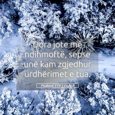 Picture 05 - Psalmet 119:173 ALB - Dora jote më ndihmoftë, sepse unë kam zgjedhur - Bible Verse Picture