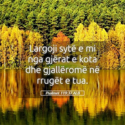 Picture 05 - Psalmet 119:37 ALB - Largoji sytë e mi nga gjërat e kota dhe - Bible Verse Picture