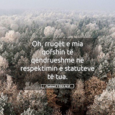 Picture 05 - Psalmet 119:5 ALB - Oh, rrugët e mia qofshin të qëndrueshme në - Bible Verse Picture