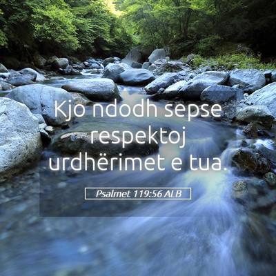 Picture 05 - Psalmet 119:56 ALB - Kjo ndodh sepse respektoj urdhërimet e - Bible Verse Picture