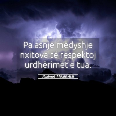Picture 05 - Psalmet 119:60 ALB - Pa asnjë mëdyshje nxitova të respektoj - Bible Verse Picture