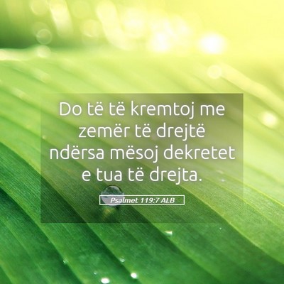 Picture 05 - Psalmet 119:7 ALB - Do të të kremtoj me zemër të drejtë ndërsa - Bible Verse Picture