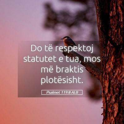 Picture 05 - Psalmet 119:8 ALB - Do të respektoj statutet e tua, mos më braktis - Bible Verse Picture