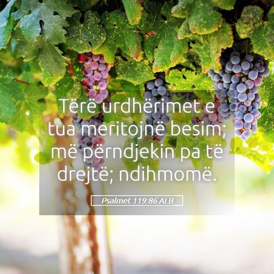 Picture 05 - Psalmet 119:86 ALB - Tërë urdhërimet e tua meritojnë besim; më - Bible Verse Picture