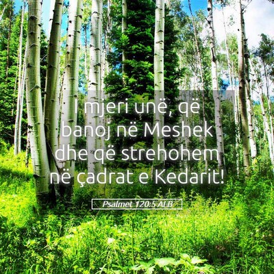 Picture 05 - Psalmet 120:5 ALB - I mjeri unë, që banoj në Meshek dhe që - Bible Verse Picture