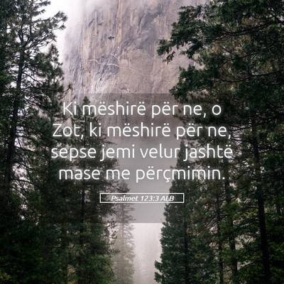 Picture 05 - Psalmet 123:3 ALB - Ki mëshirë për ne, o Zot, ki mëshirë për - Bible Verse Picture