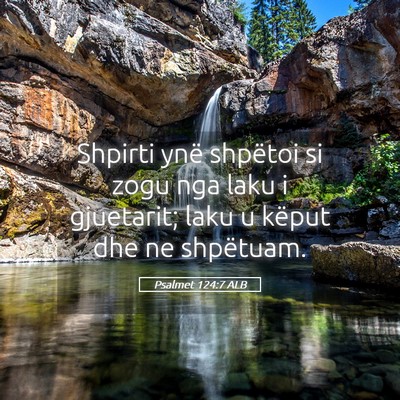 Picture 05 - Psalmet 124:7 ALB - Shpirti ynë shpëtoi si zogu nga laku i - Bible Verse Picture
