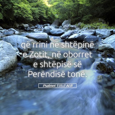Picture 05 - Psalmet 135:2 ALB - që rrini në shtëpinë e Zotit, në oborret e - Bible Verse Picture