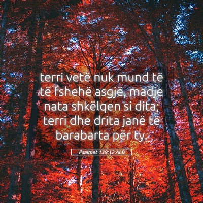 Picture 05 - Psalmet 139:12 ALB - terri vetë nuk mund të të fshehë asgjë, - Bible Verse Picture