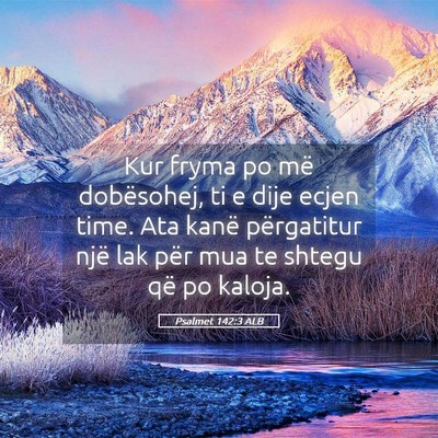 Picture 05 - Psalmet 142:3 ALB - Kur fryma po më dobësohej, ti e dije ecjen - Bible Verse Picture