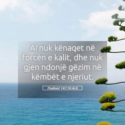 Picture 05 - Psalmet 147:10 ALB - Ai nuk kënaqet në forcën e kalit, dhe nuk gjen - Bible Verse Picture