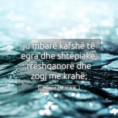 Picture 05 - Psalmet 148:10 ALB - ju mbarë kafshë të egra dhe shtëpiake, - Bible Verse Picture
