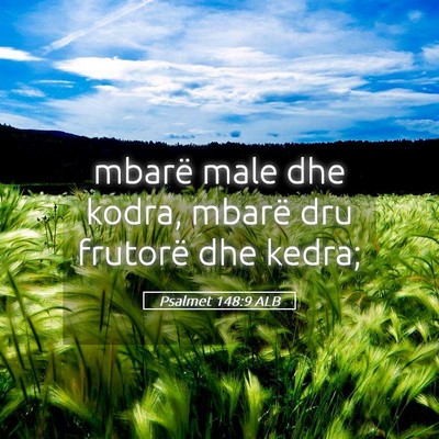 Picture 05 - Psalmet 148:9 ALB - mbarë male dhe kodra, mbarë dru frutorë dhe - Bible Verse Picture