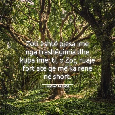 Picture 05 - Psalmet 16:5 ALB - Zoti është pjesa ime nga trashëgimia dhe kupa - Bible Verse Picture