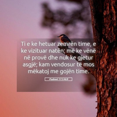 Picture 05 - Psalmet 17:3 ALB - Ti e ke hetuar zemrën time, e ke vizituar - Bible Verse Picture