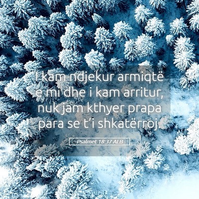 Picture 05 - Psalmet 18:37 ALB - I kam ndjekur armiqtë e mi dhe i kam arritur, - Bible Verse Picture