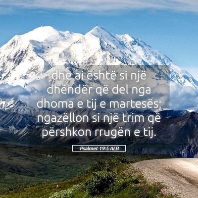 Picture 05 - Psalmet 19:5 ALB - dhe ai është si një dhëndër që del nga - Bible Verse Picture