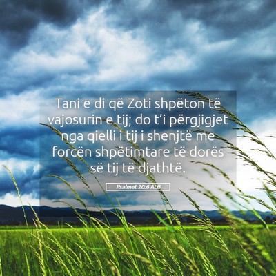 Picture 05 - Psalmet 20:6 ALB - Tani e di që Zoti shpëton të vajosurin e tij; - Bible Verse Picture