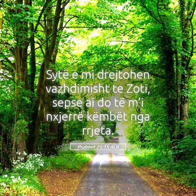 Picture 05 - Psalmet 25:15 ALB - Sytë e mi drejtohen vazhdimisht te Zoti, sepse - Bible Verse Picture