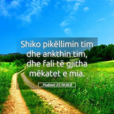 Picture 05 - Psalmet 25:18 ALB - Shiko pikëllimin tim dhe ankthin tim, dhe fali - Bible Verse Picture