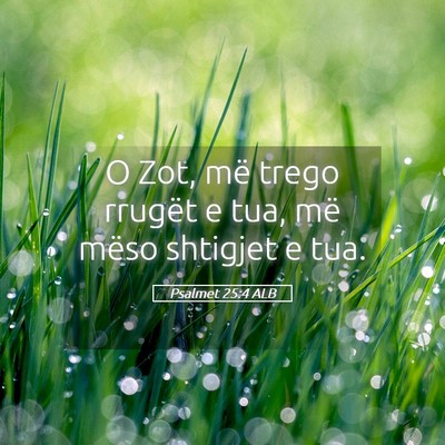 Picture 05 - Psalmet 25:4 ALB - O Zot, më trego rrugët e tua, më mëso - Bible Verse Picture