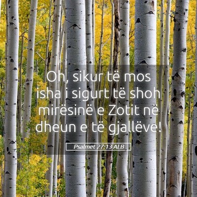 Picture 05 - Psalmet 27:13 ALB - Oh, sikur të mos isha i sigurt të shoh - Bible Verse Picture